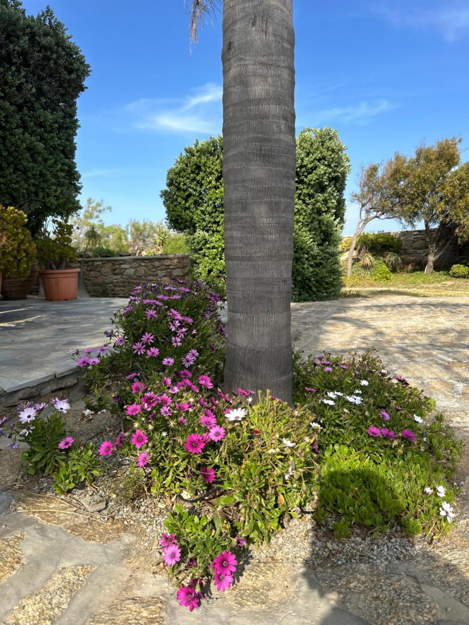 Divers House Agrari  Exteriér fotografie